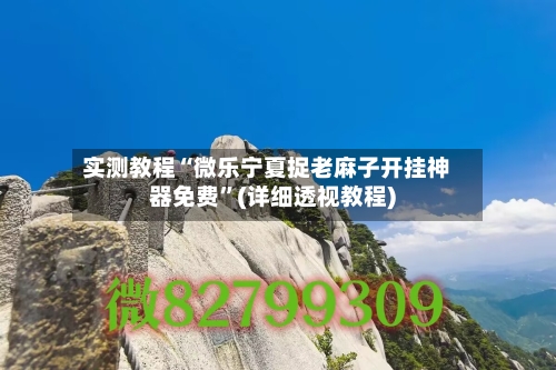 实测教程“微乐宁夏捉老麻子开挂神器免费”(详细透视教程)-第1张图片