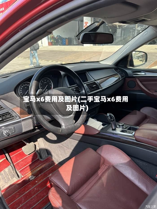 宝马x6费用及图片(二手宝马x6费用及图片)-第1张图片