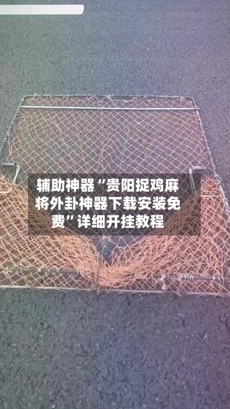 辅助神器“贵阳捉鸡麻将外卦神器下载安装免费”详细开挂教程-第1张图片