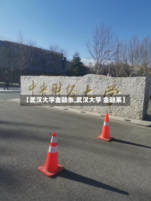 【武汉大学金融糸,武汉大学 金融系】-第1张图片