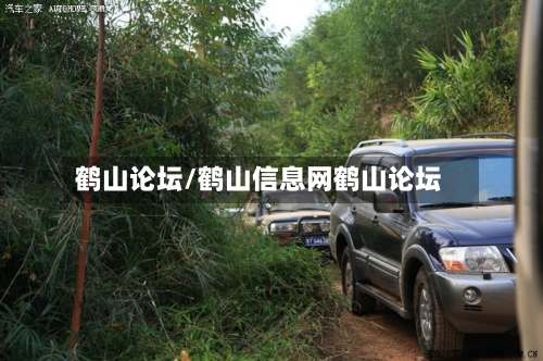 鹤山论坛/鹤山信息网鹤山论坛-第1张图片