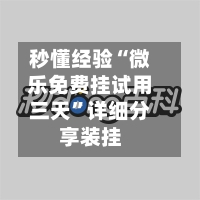 秒懂经验“微乐免费挂试用三天”详细分享装挂-第1张图片