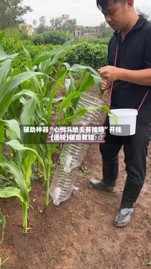 辅助神器“心悦斗地主有挂吗”开挂(透视)辅助教程-第1张图片
