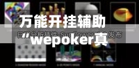 万能开挂辅助“wepoker真的有透视吗	”详细分享装挂步骤-第1张图片