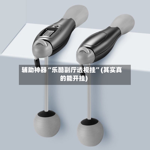 辅助神器“乐酷副厅透视挂”(其实真的能开挂)-第1张图片