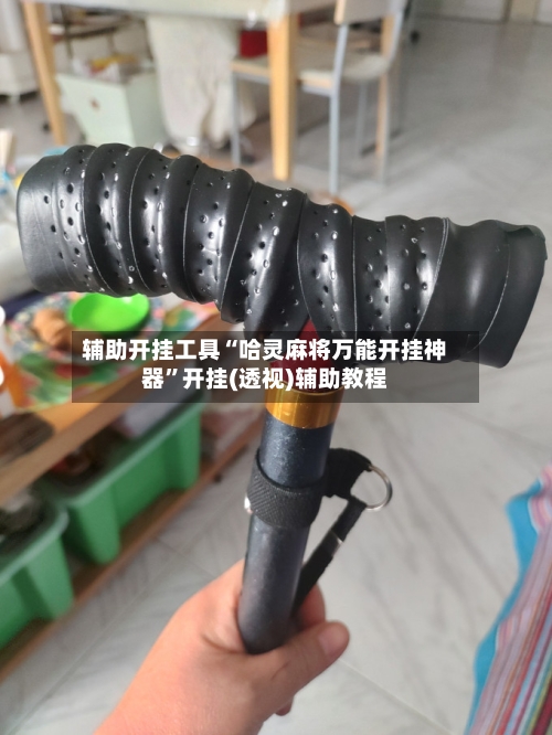 辅助开挂工具“哈灵麻将万能开挂神器	”开挂(透视)辅助教程-第1张图片
