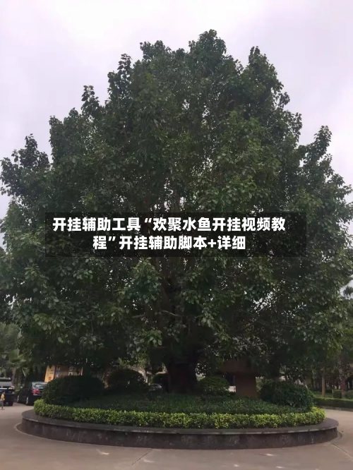 开挂辅助工具“欢聚水鱼开挂视频教程”开挂辅助脚本+详细-第1张图片