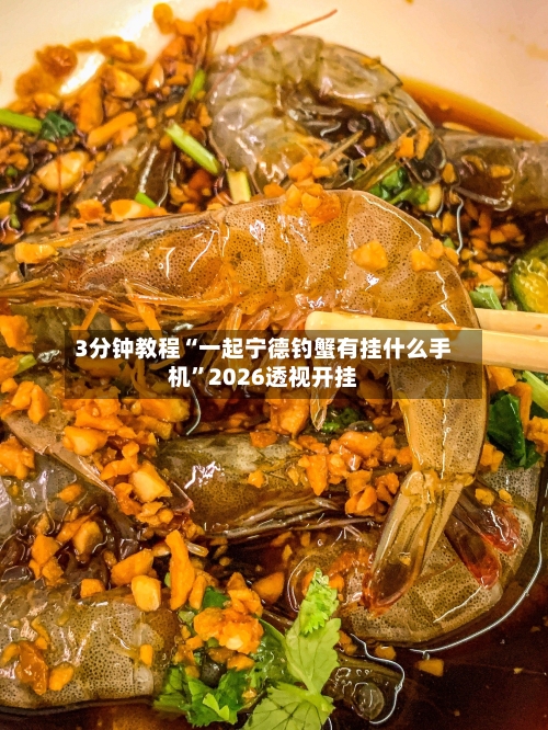 3分钟教程“一起宁德钓蟹有挂什么手机	”2026透视开挂-第1张图片