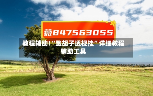 教程辅助!“跑胡子透视挂”详细教程辅助工具-第1张图片