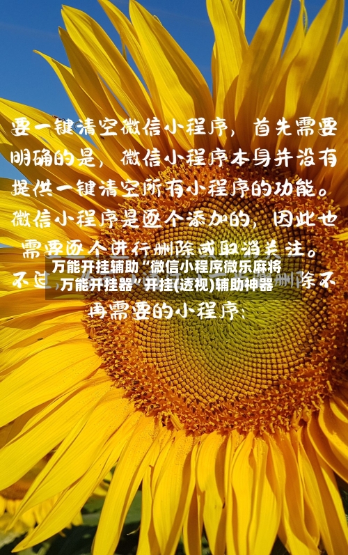 万能开挂辅助“微信小程序微乐麻将万能开挂器”开挂(透视)辅助神器-第1张图片