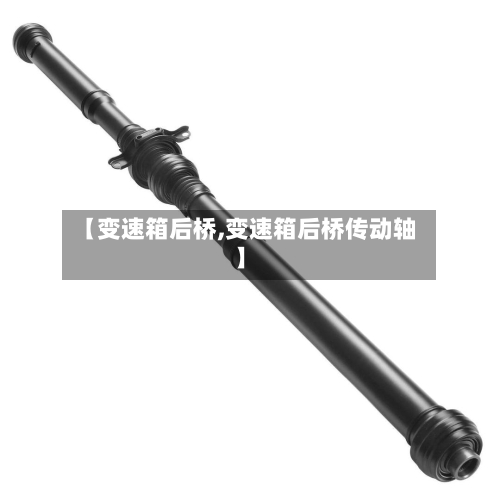 【变速箱后桥,变速箱后桥传动轴】-第1张图片