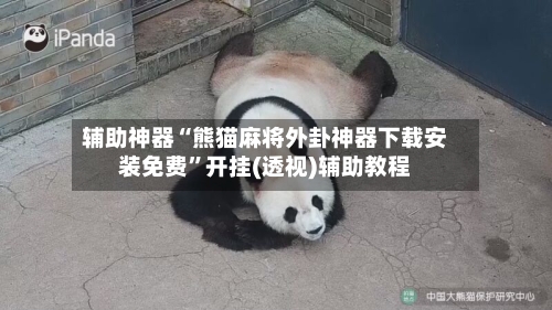 辅助神器“熊猫麻将外卦神器下载安装免费	”开挂(透视)辅助教程-第1张图片