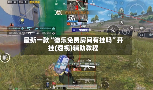 最新一款“微乐免费房间有挂吗”开挂(透视)辅助教程-第1张图片