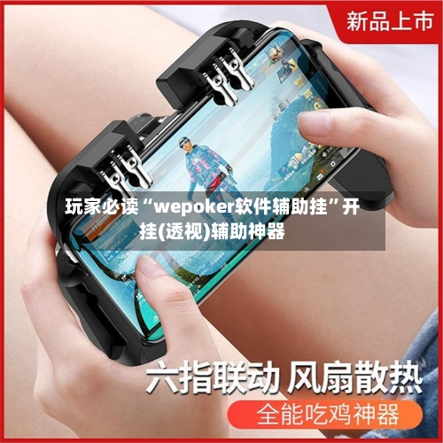 玩家必读“wepoker软件辅助挂”开挂(透视)辅助神器-第1张图片