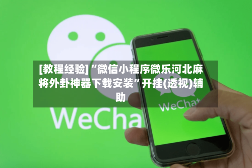 [教程经验]“微信小程序微乐河北麻将外卦神器下载安装”开挂(透视)辅助-第1张图片