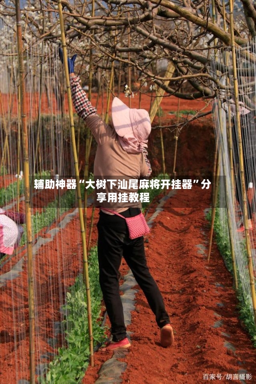 辅助神器“大树下汕尾麻将开挂器	”分享用挂教程-第1张图片