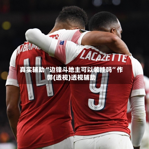真实辅助“边锋斗地主可以装挂吗	”作弊(透视)透视辅助-第1张图片