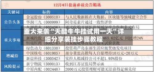 重大来袭“天酷牛牛挂试用一天	”详细分享装挂步骤教程-第1张图片