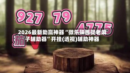 2026最新助赢神器“微乐陕西捉老麻子辅助器”开挂(透视)辅助神器-第1张图片