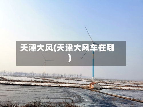 天津大风(天津大风车在哪)-第1张图片