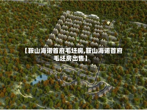 【鞍山海诺首府毛坯房,鞍山海诺首府毛坯房出售】-第1张图片