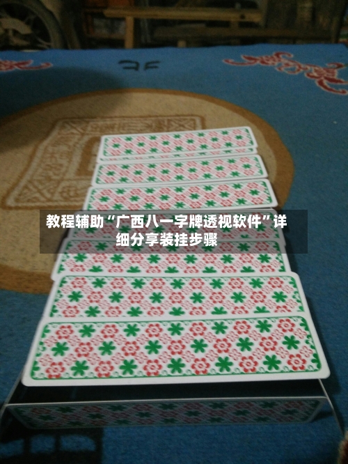 教程辅助“广西八一字牌透视软件”详细分享装挂步骤-第1张图片