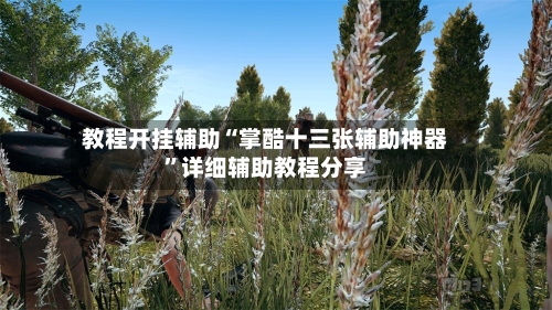 教程开挂辅助“掌酷十三张辅助神器	”详细辅助教程分享-第1张图片