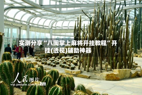 实测分享“八闽掌上麻将开挂教程”开挂(透视)辅助神器-第1张图片