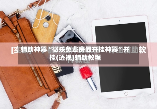 辅助神器“微乐免费房间开挂神器”开挂(透视)辅助教程-第1张图片