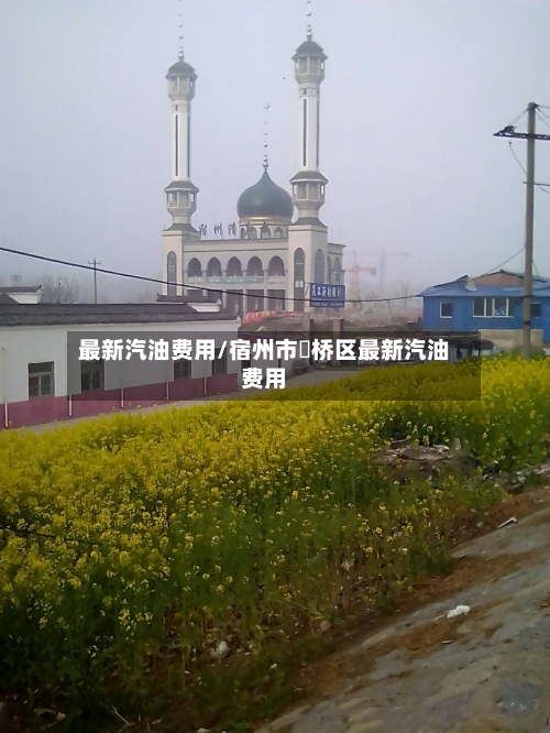 最新汽油费用/宿州市埇桥区最新汽油费用-第1张图片
