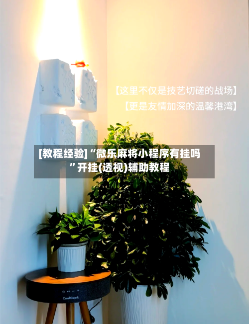 [教程经验]“微乐麻将小程序有挂吗	”开挂(透视)辅助教程-第1张图片