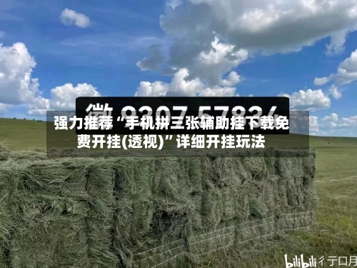 强力推荐“手机拼三张辅助挂下载免费开挂(透视)”详细开挂玩法-第1张图片