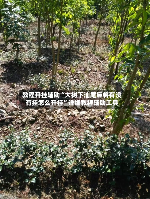 教程开挂辅助“大树下汕尾麻将有没有挂怎么开挂”详细教程辅助工具-第1张图片