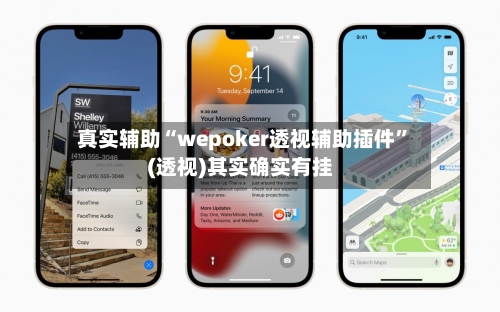 真实辅助“wepoker透视辅助插件	”(透视)其实确实有挂-第1张图片