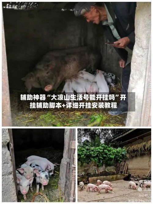 辅助神器“大凉山生活号能开挂吗”开挂辅助脚本+详细开挂安装教程-第1张图片