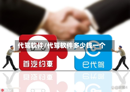 代驾软件/代驾软件多少钱一个-第1张图片
