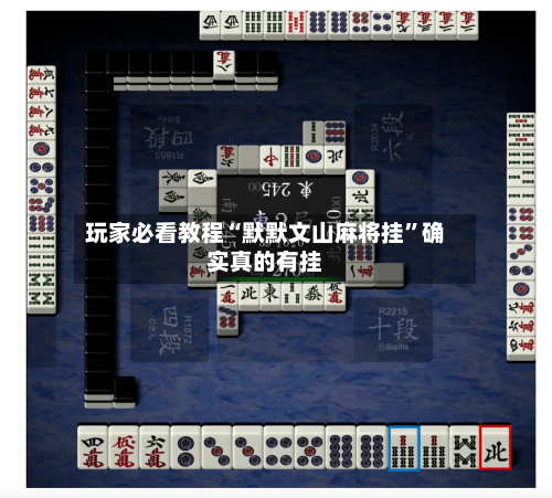 玩家必看教程“默默文山麻将挂”确实真的有挂-第1张图片