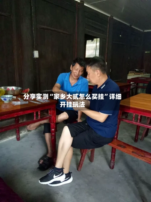 分享实测“家乡大贰怎么买挂”详细开挂玩法-第1张图片