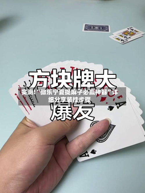 实测!“微乐宁夏捉麻子必赢神器	”详细分享装挂步骤-第1张图片