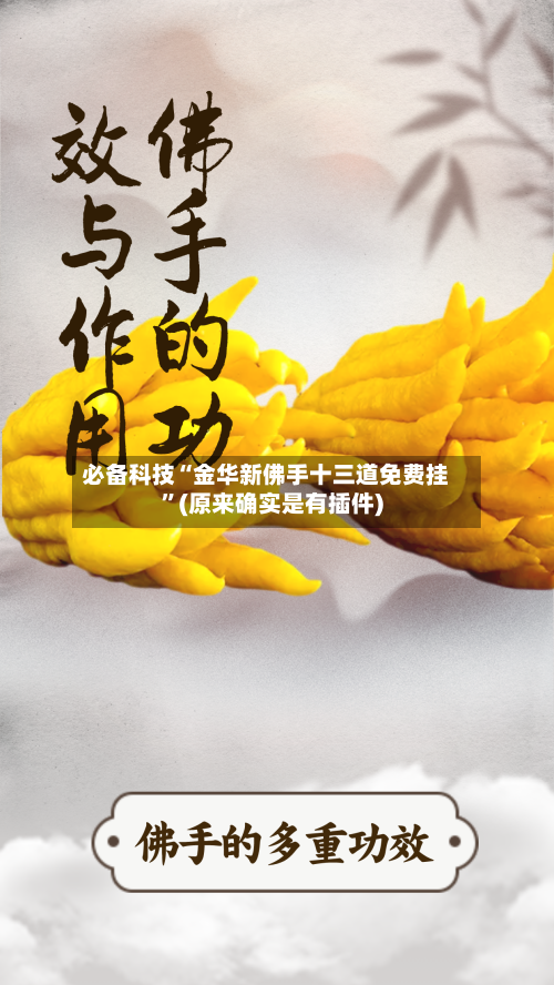 必备科技“金华新佛手十三道免费挂	”(原来确实是有插件)-第1张图片
