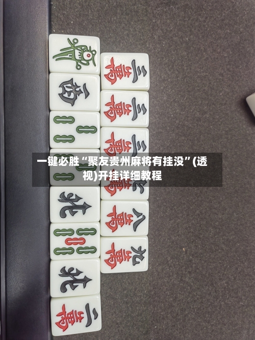 一键必胜“聚友贵州麻将有挂没”(透视)开挂详细教程-第1张图片