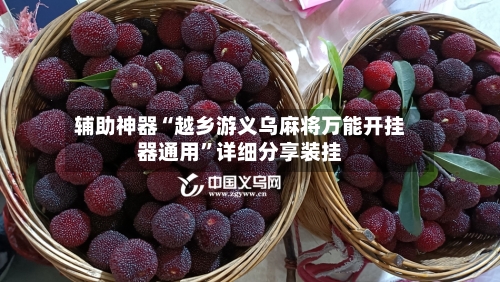 辅助神器“越乡游义乌麻将万能开挂器通用”详细分享装挂-第1张图片