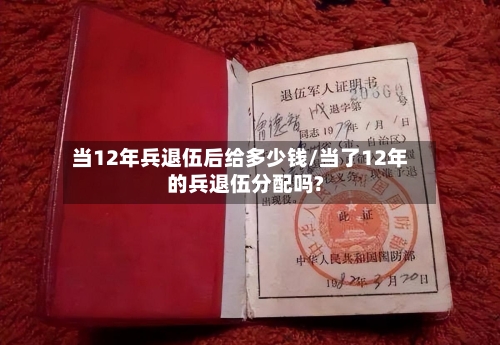 当12年兵退伍后给多少钱/当了12年的兵退伍分配吗?-第1张图片