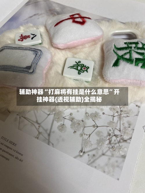 辅助神器“打麻将有挂是什么意思”开挂神器{透视辅助}全揭秘-第1张图片
