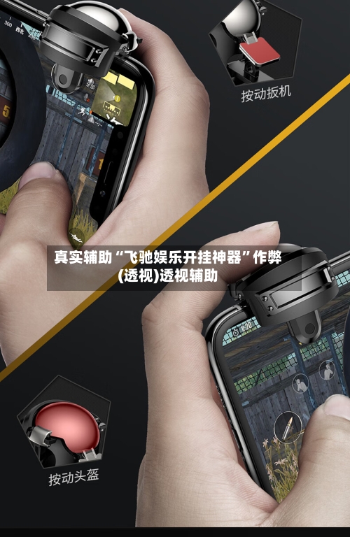 真实辅助“飞驰娱乐开挂神器”作弊(透视)透视辅助-第1张图片