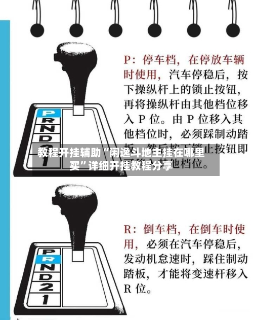 教程开挂辅助“闲逸斗地主挂在哪里买”详细开挂教程分享-第1张图片