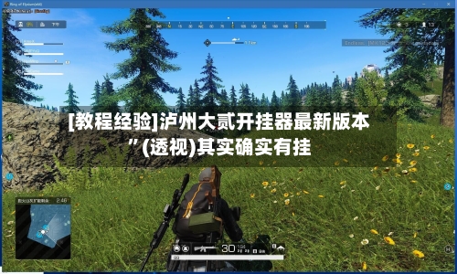[教程经验]泸州大贰开挂器最新版本”(透视)其实确实有挂-第1张图片
