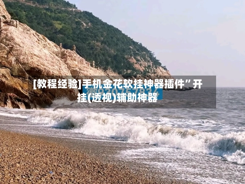 [教程经验]手机金花软挂神器插件”开挂(透视)辅助神器-第1张图片