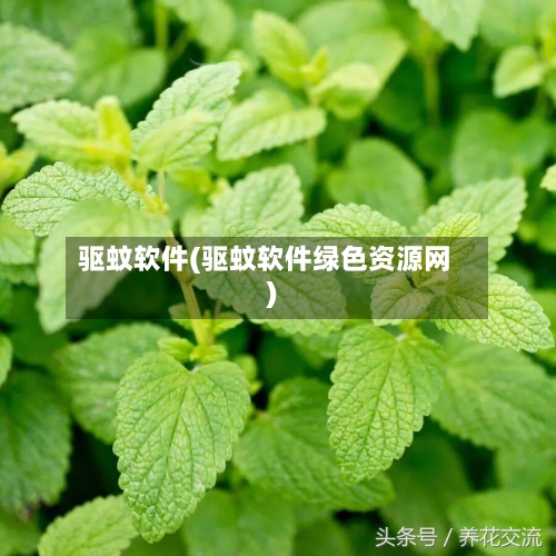 驱蚊软件(驱蚊软件绿色资源网)-第1张图片