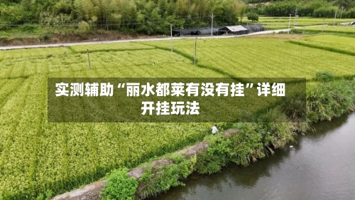 实测辅助“丽水都莱有没有挂	”详细开挂玩法-第1张图片